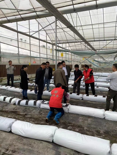 宁化：省科技特派员服务团为农业企业把脉支招谋发展